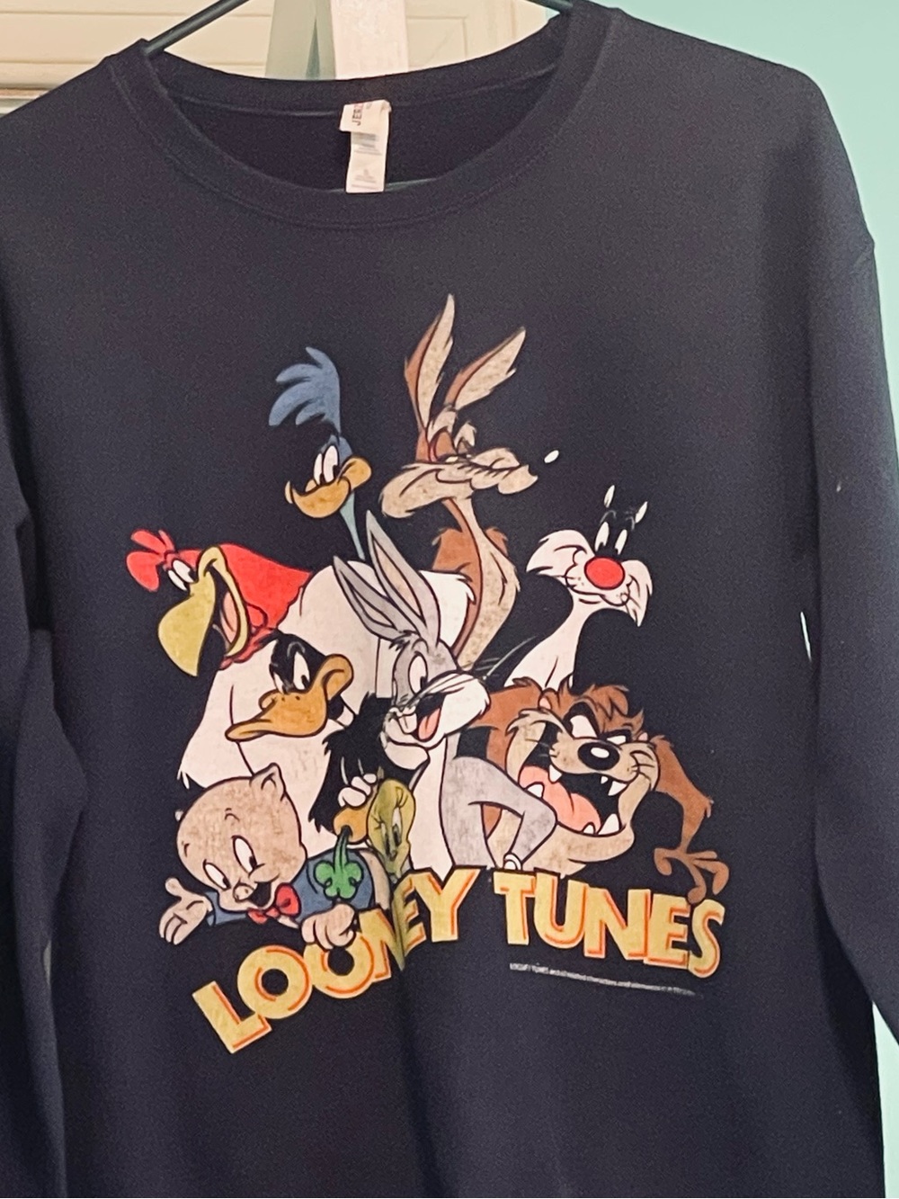Jerzees Black Looney Tunes Group Graphic Crewneck